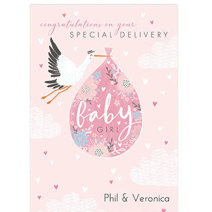 Special Delivery Baby Girl